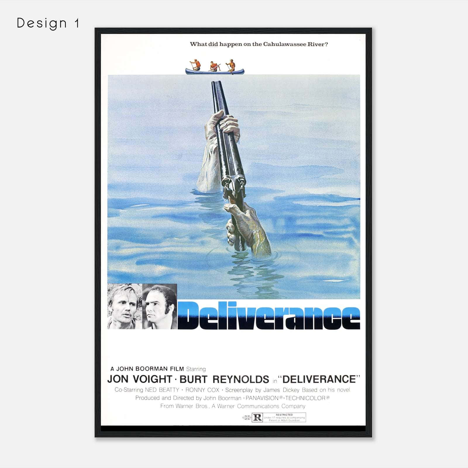 DELIVERANCE 1972 DOCUMENTARY visual data 4